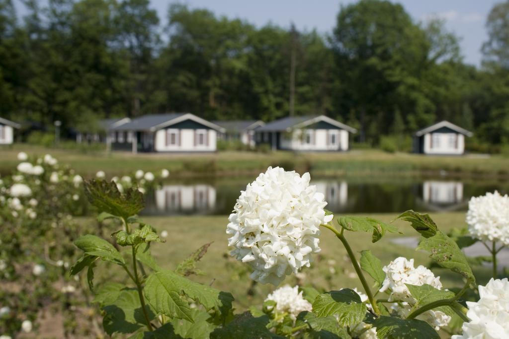 Buitenplaats Gerner Dalfsen Exterior foto